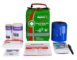 First Aid for Spider Bites: Quick Steps to Treat and Prevent Complications First Aid for Spider Bites