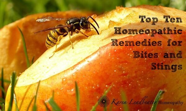 Homeopathic Remedies for Wasp Sting