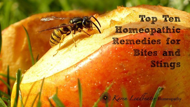 Homeopathic Remedies for Wasp Sting