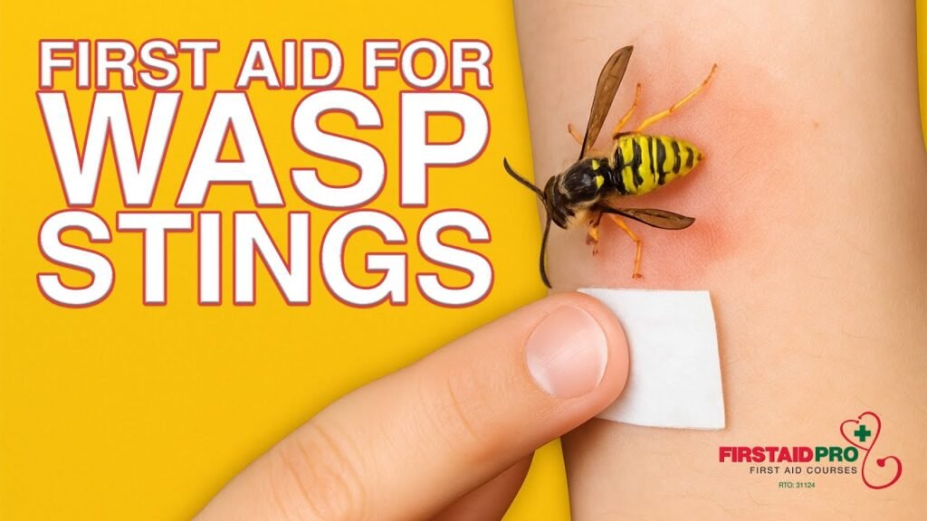 How to Treat a Wasp Sting: Effective First Aid and Natural Remedies How to Treat a Wasp Sting