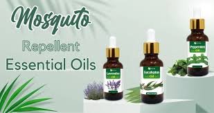 Essential Oils for Mosquito Bites