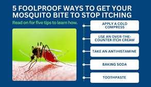 How to Soothe Mosquito Bites