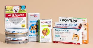 Best Flea and Tick Prevention for Dogs: Top Treatments, Tips & Safety Guide Best Flea and Tick Prevention for Dogs