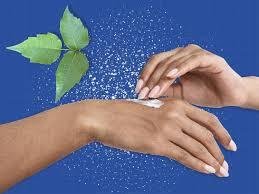 Best Cream for Poison Ivy: Top Options to Soothe Itch & Heal Fast Best Cream for Poison Ivy