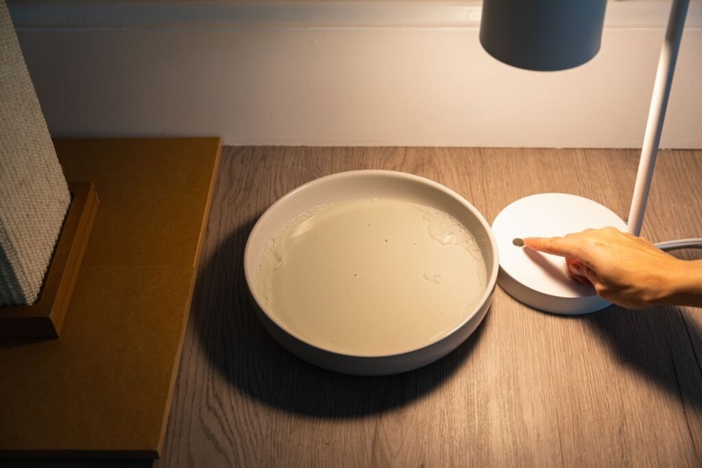 Best Flea Trap for Home Use: Safe Solutions to Eliminate Fleas Best Flea Trap for Home Use