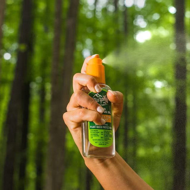 Best Natural Insect Repellent