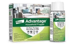 Effective Flea Fogger for Home Flea Infestation