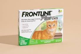 Flea and Tick Medicine for Cats: Best Treatments, Safety, and Prevention Tips Flea and Tick Medicine for Cats
