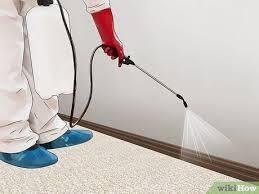 Flea Control for Carpets and Furniture
