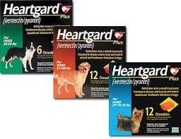 Flea Tick and Heartworm Medicine for Dogs