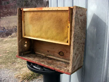 how to build a honeybee swarm trap