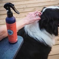 Safe Bug Spray for Dogs