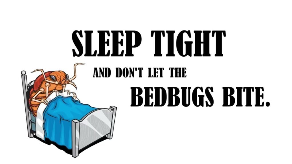 Sleep Tight Don’t Let the Bedbugs Bite Meaning, Origin, and Prevention Tips Sleep Tight Don’t Let the Bedbugs Bite