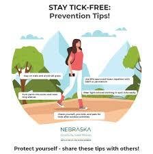 Tick Prevention Tips for Campers