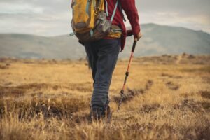 Hiker walking through grass representing lone star tick and Ixodes ricinus exposure habitat
