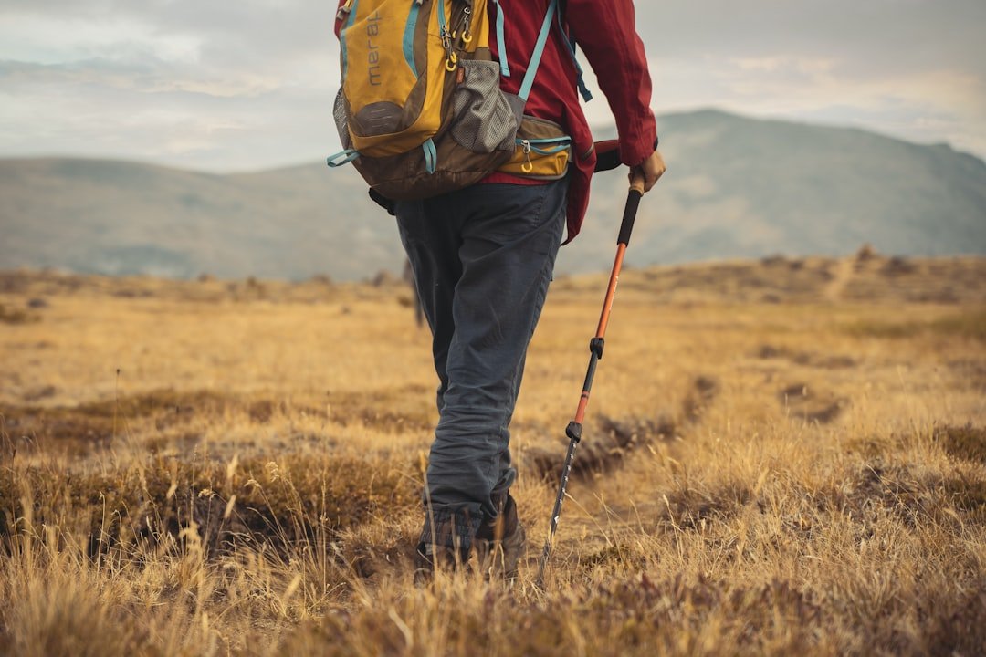 Hiker walking through grass representing lone star tick and Ixodes ricinus exposure habitat