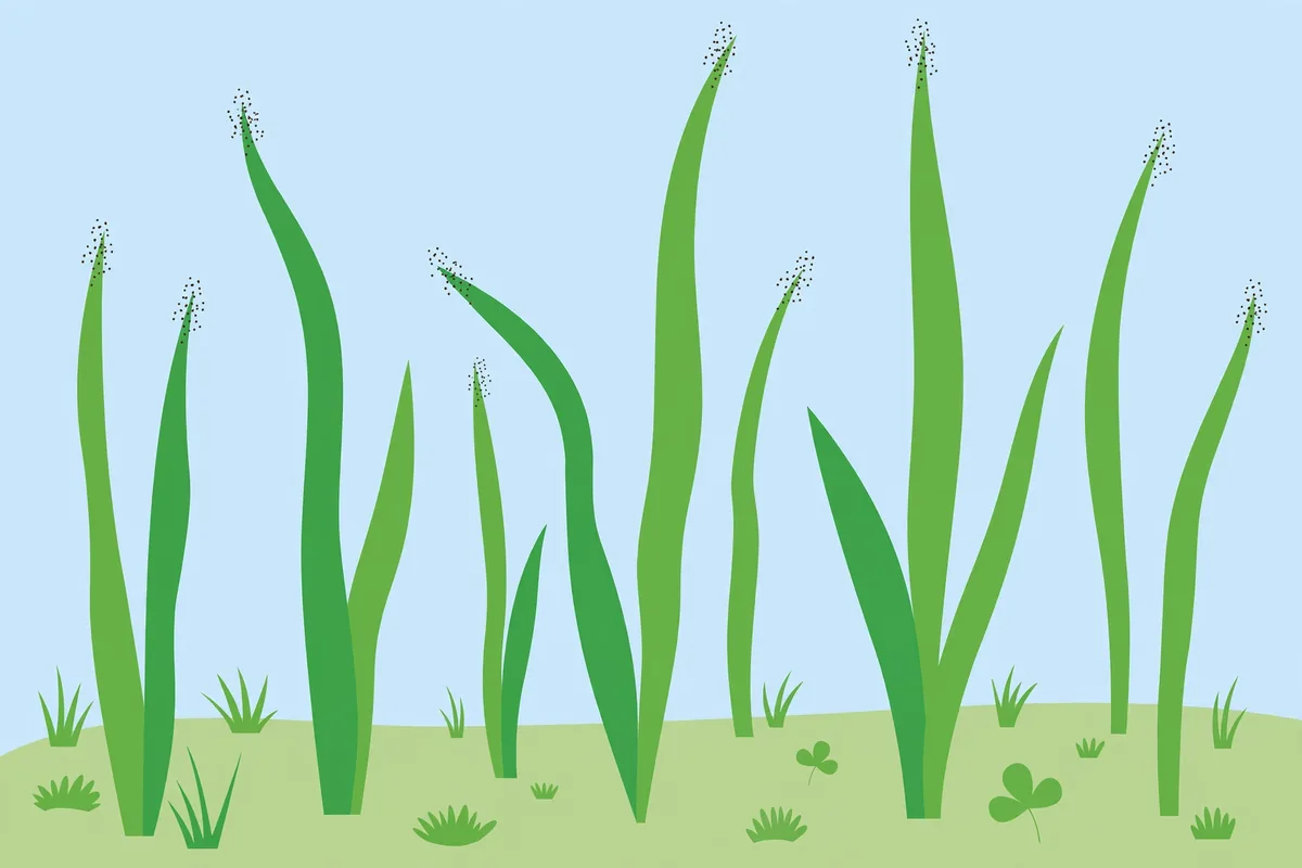 Seed Tick Cluster Bites: Removal & Treatment Checklist - illustration 1
